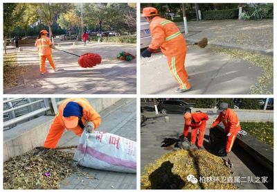 落叶无情飘满地环卫工人清扫忙(2017年环卫篇二十五)_社会_网