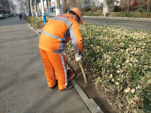 绿化人员和保洁员一起,对道路绿化带垃圾污物进行清理