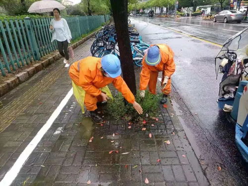 宝山环卫借雨作业,市民安全有保障