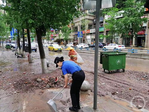 重庆九龙坡 暴雨后忙清淤