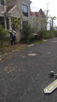 【市政道路保洁做的好的公司