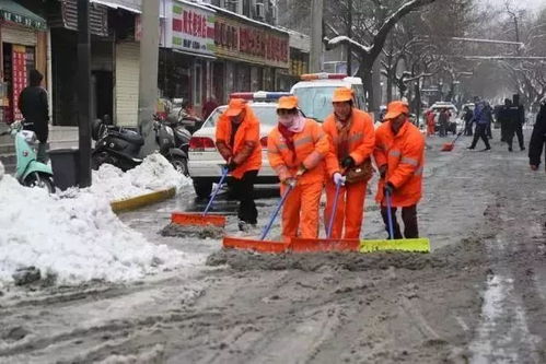 中午为何飘起雪花 别怕,这些扫雪暖心神器为你保驾护航